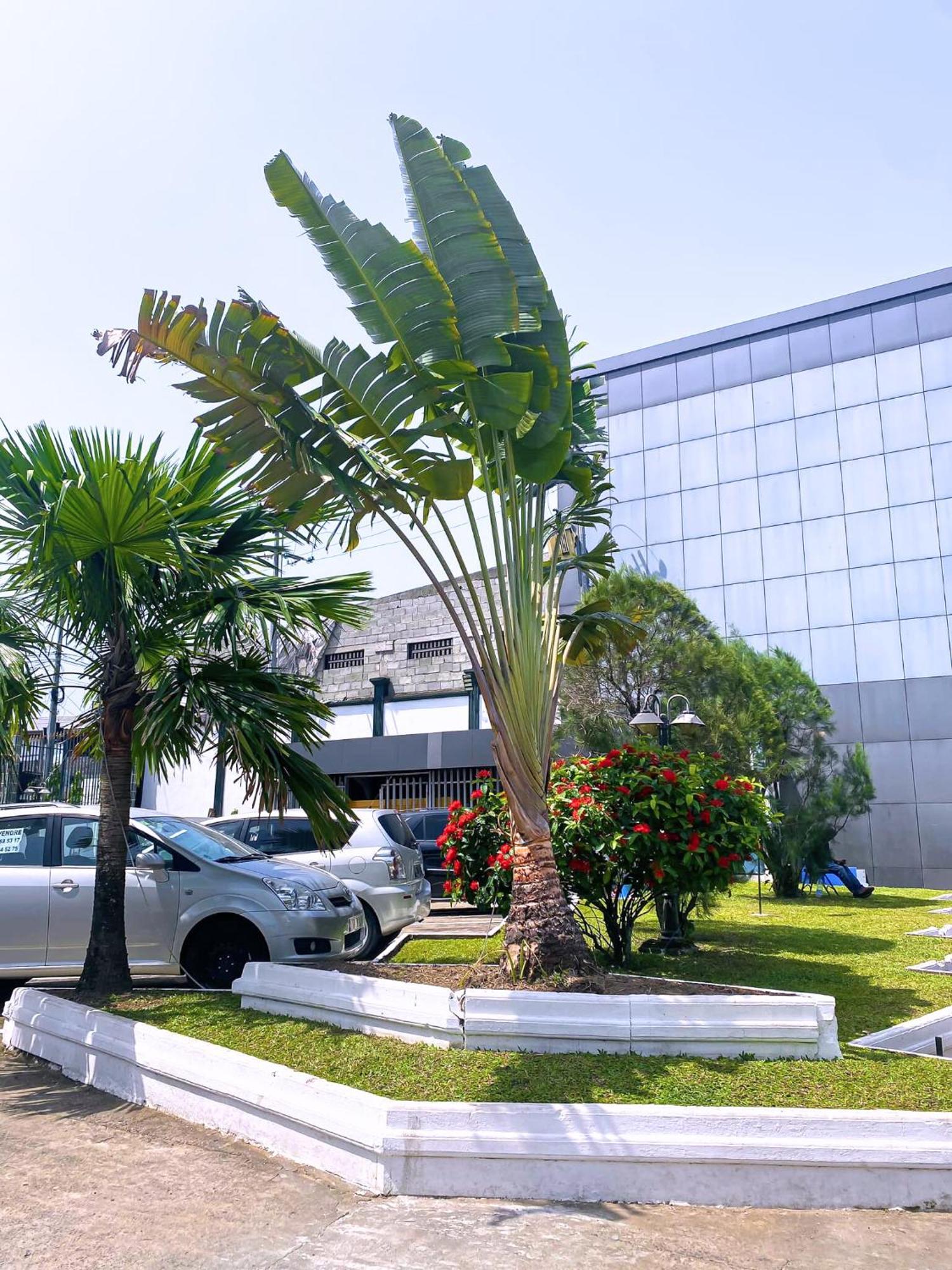 Hotel Vallee Des Princes Douala Dış mekan fotoğraf
